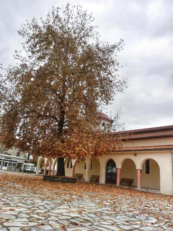 Village House Grevena Buitenkant foto